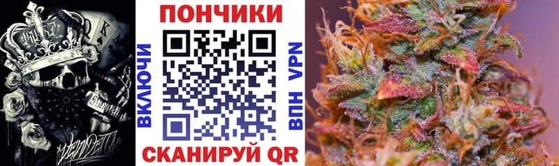 даркнет телеграм  Данилов  Бошки марихуана ГИДРОПОН  магазин  наркотиков 